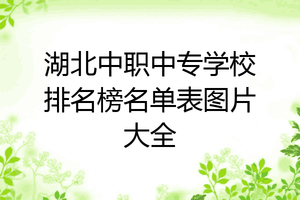 湖北中职中专学校排名榜名单表图片大全