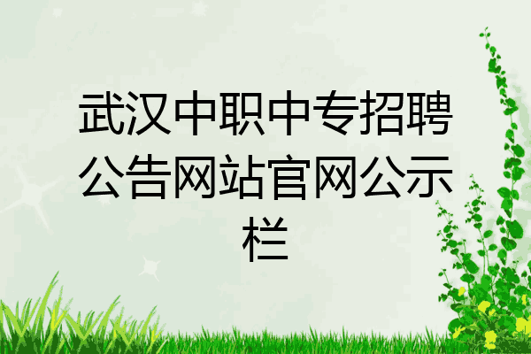 武汉中职中专招聘公告网站官网公示栏