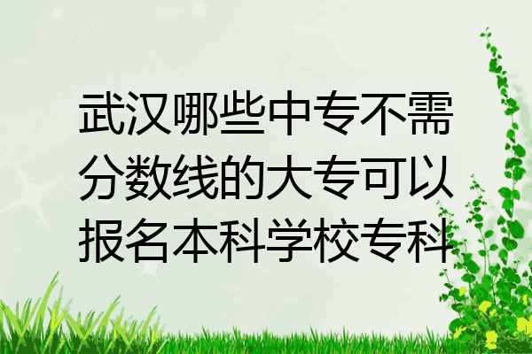 武汉哪些中专不需分数线的大专可以报名本科学校专科