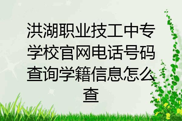 洪湖职业技工中专学校官网电话号码查询学籍信息怎么查