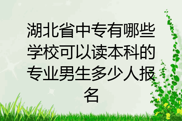湖北省中专有哪些学校可以读本科的专业男生多少人报名