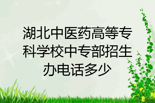 湖北中医药高等专科学校中专部招生办电话多少