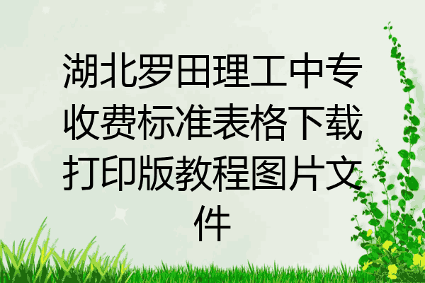 湖北罗田理工中专收费标准表格下载打印版教程图片文件