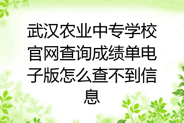 武汉农业中专学校官网查询成绩单电子版怎么查不到信息