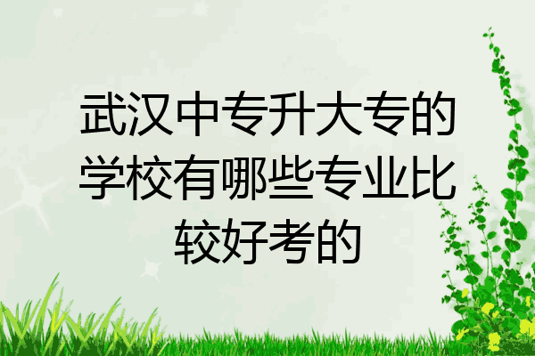 武汉中专升大专的学校有哪些专业比较好考的