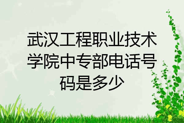 武汉工程职业技术学院中专部电话号码是多少