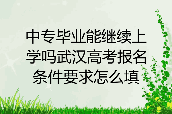 中专毕业能继续上学吗武汉高考报名条件要求怎么填