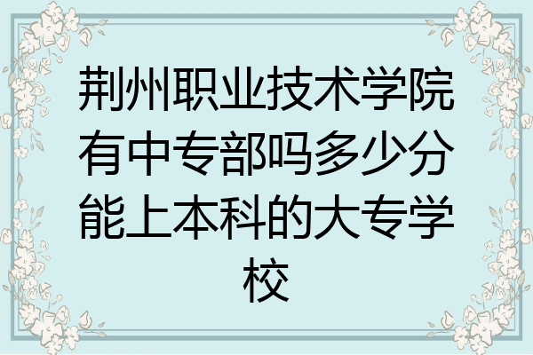 荆州职业技术学院有中专部吗多少分能上本科的大专学校