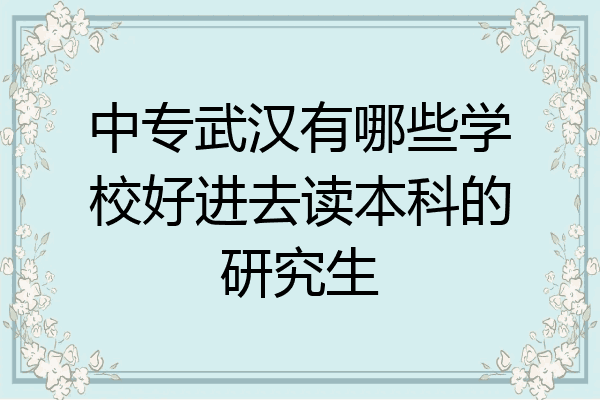 中专武汉有哪些学校好进去读本科的研究生
