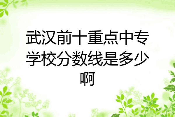 武汉前十重点中专学校分数线是多少啊