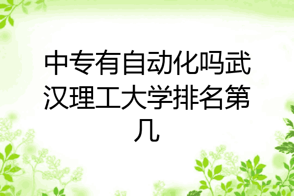 中专有自动化吗武汉理工大学排名第几