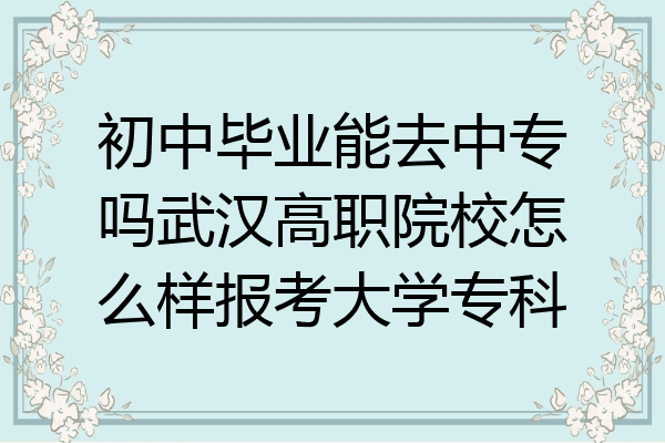 初中毕业能去中专吗武汉高职院校怎么样报考大学专科