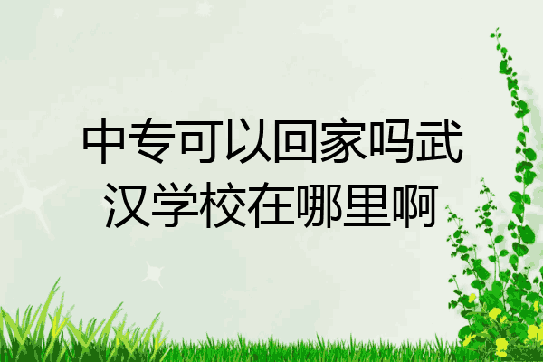 中专可以回家吗武汉学校在哪里啊