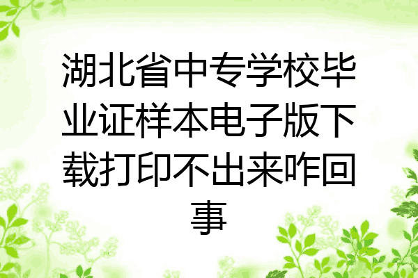 湖北省中专学校毕业证样本电子版下载打印不出来咋回事