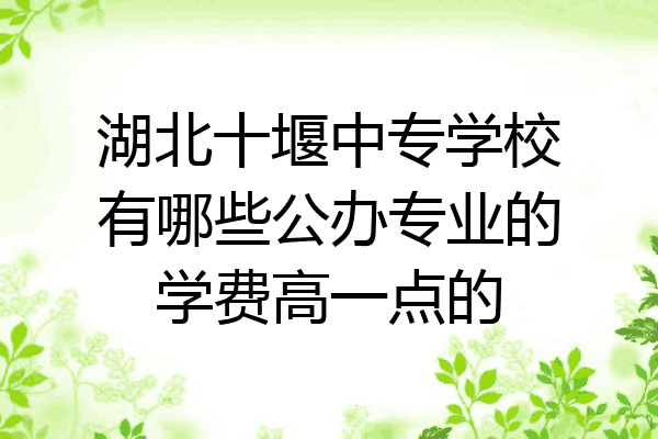 湖北十堰中专学校有哪些公办专业的学费高一点的