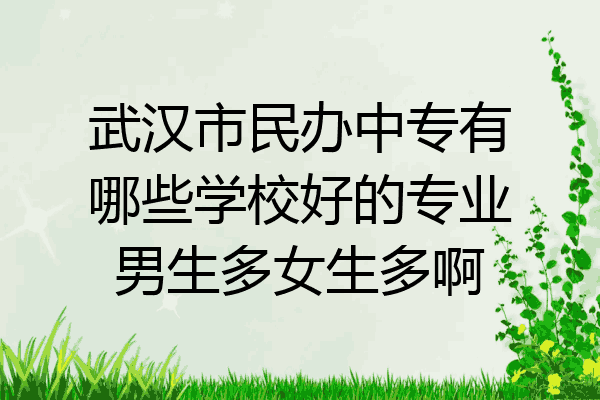 武汉市民办中专有哪些学校好的专业男生多女生多啊