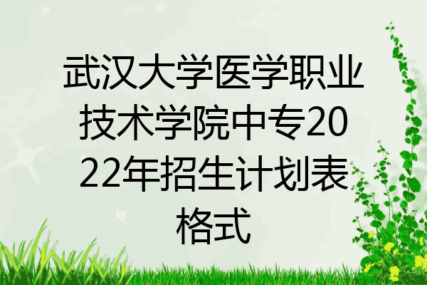 武汉大学医学职业技术学院中专2022年招生计划表格式