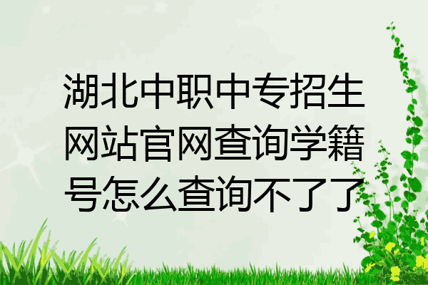 湖北中职中专招生网站官网查询学籍号怎么查询不了了