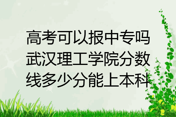 高考可以报中专吗武汉理工学院分数线多少分能上本科