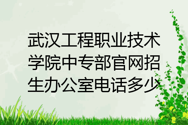 武汉工程职业技术学院中专部官网招生办公室电话多少