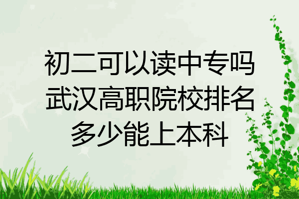 初二可以读中专吗武汉高职院校排名多少能上本科