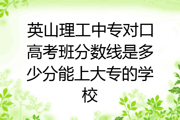 英山理工中专对口高考班分数线是多少分能上大专的学校