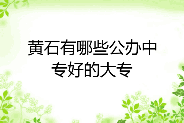 黄石有哪些公办中专好的大专