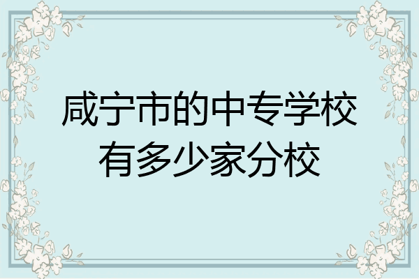咸宁市的中专学校有多少家分校