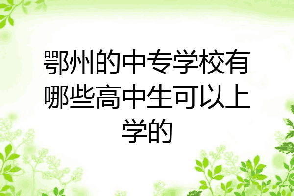 鄂州的中专学校有哪些高中生可以上学的