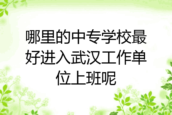 哪里的中专学校最好进入武汉工作单位上班呢