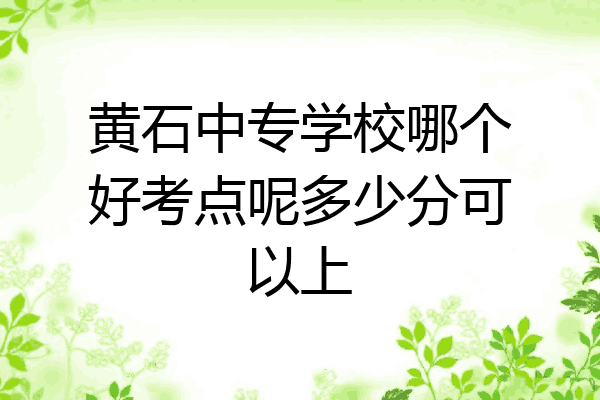 黄石中专学校哪个好考点呢多少分可以上