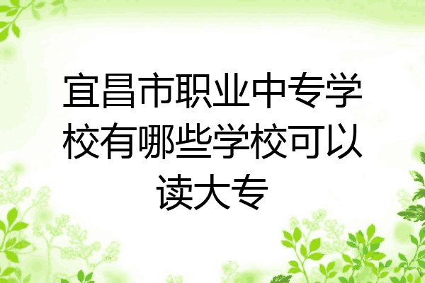 宜昌市职业中专学校有哪些学校可以读大专