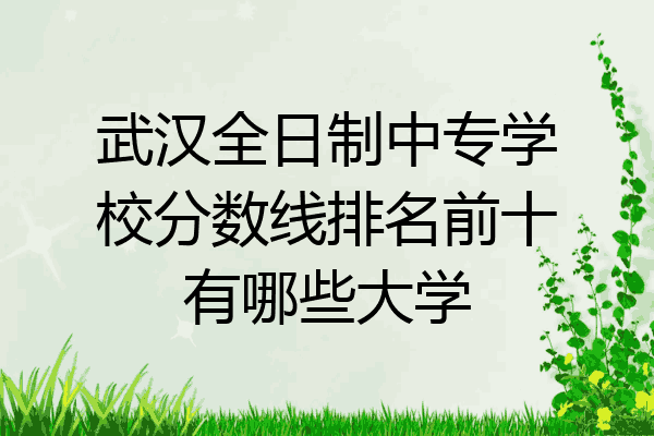 武汉全日制中专学校分数线排名前十有哪些大学