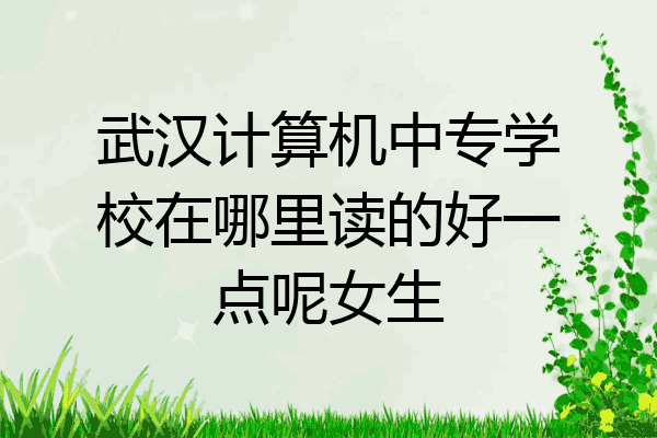 武汉计算机中专学校在哪里读的好一点呢女生