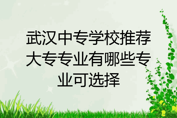 武汉中专学校推荐大专专业有哪些专业可选择
