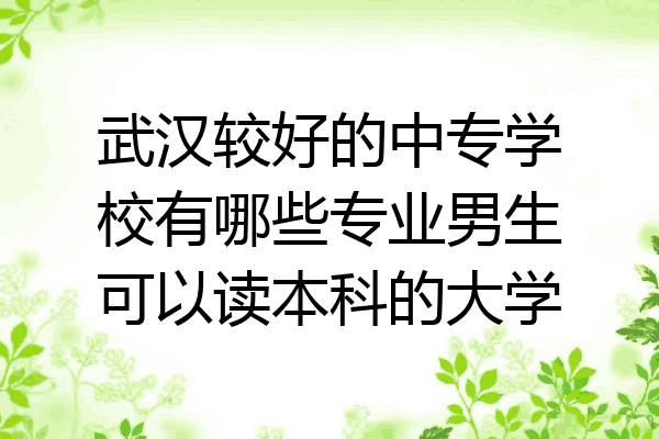武汉较好的中专学校有哪些专业男生可以读本科的大学