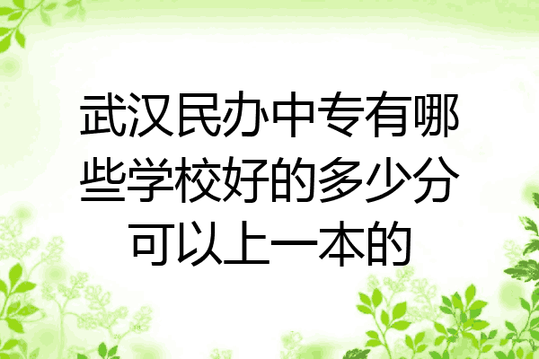 武汉民办中专有哪些学校好的多少分可以上一本的