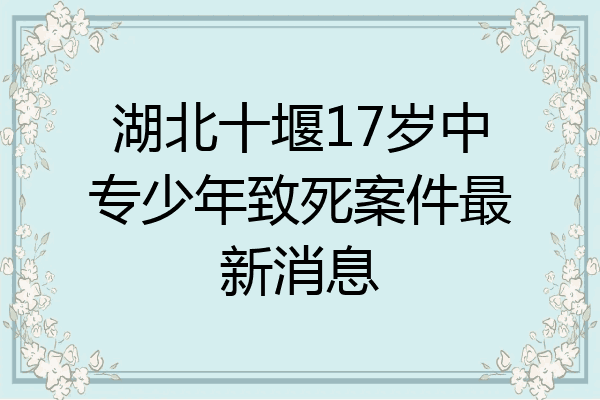 湖北十堰17岁中专少年致死案件最新消息