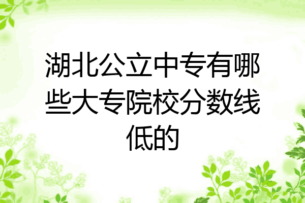 湖北公立中专有哪些大专院校分数线低的