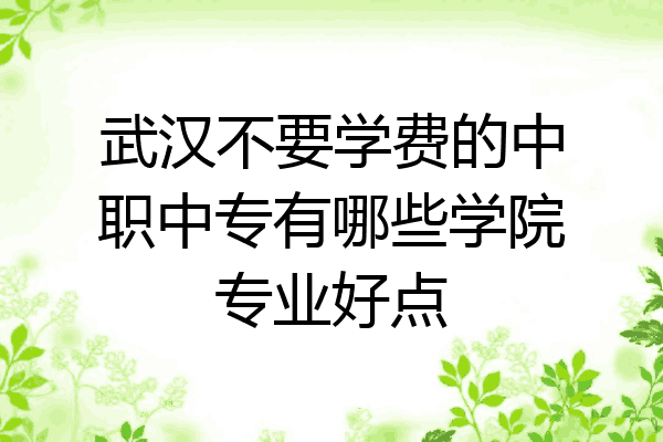 武汉不要学费的中职中专有哪些学院专业好点