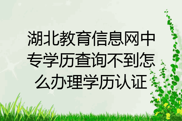 湖北教育信息网中专学历查询不到怎么办理学历认证