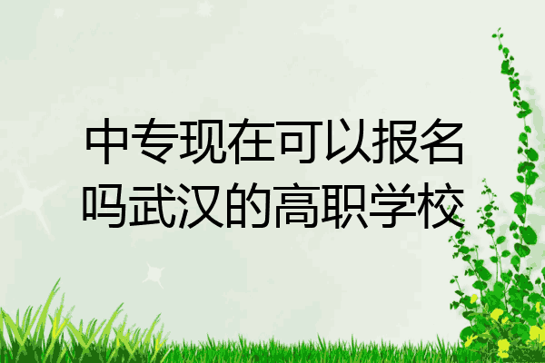 中专现在可以报名吗武汉的高职学校