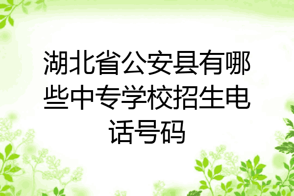 湖北省公安县有哪些中专学校招生电话号码