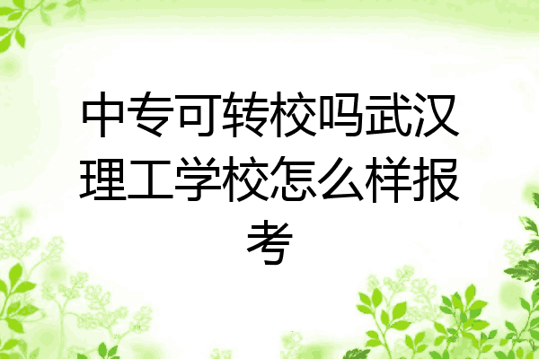 中专可转校吗武汉理工学校怎么样报考