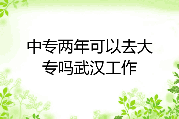 中专两年可以去大专吗武汉工作