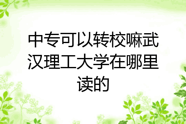 中专可以转校嘛武汉理工大学在哪里读的
