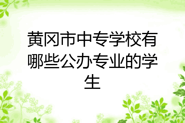 黄冈市中专学校有哪些公办专业的学生