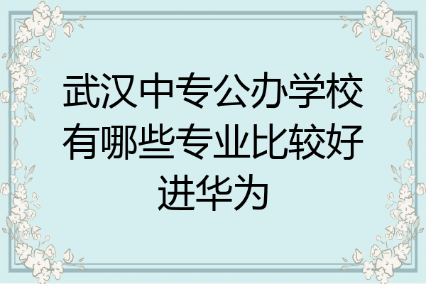 武汉中专公办学校有哪些专业比较好进华为