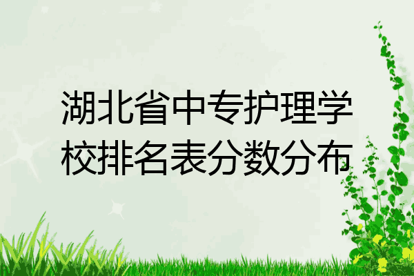 湖北省中专护理学校排名表分数分布