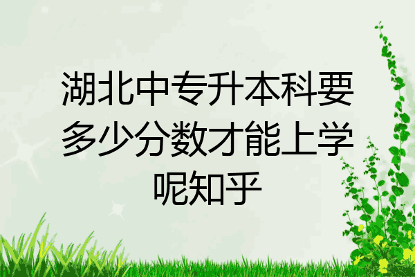湖北中专升本科要多少分数才能上学呢知乎